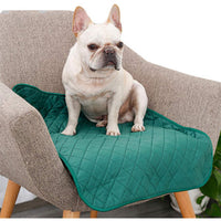 BambooPaws™ - Reusable Pet Training Pad - Maximum Absorbency - Odor Control - Eco-Friendly
